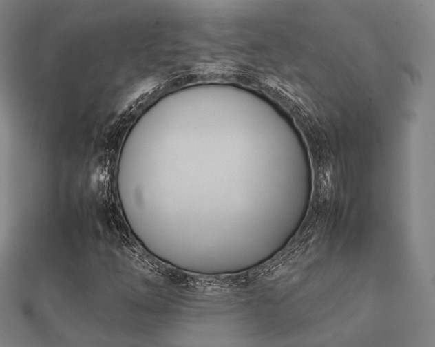 X0000112051254200908111342