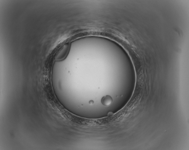 X0000112051255200908111342