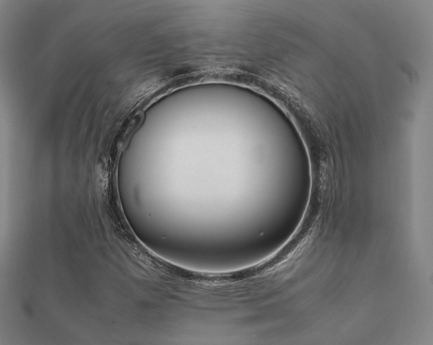 X0000112051257200908111342