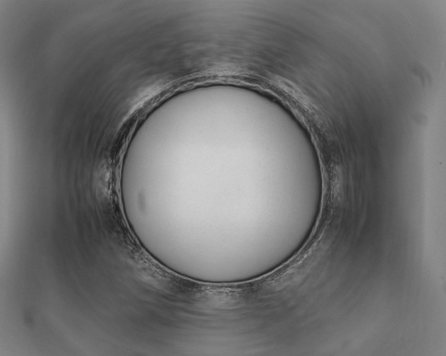 X0000112051258200908111342