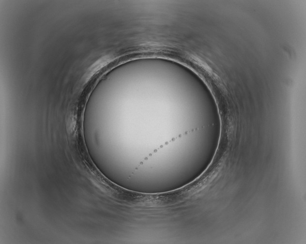 X0000112051259200908111342