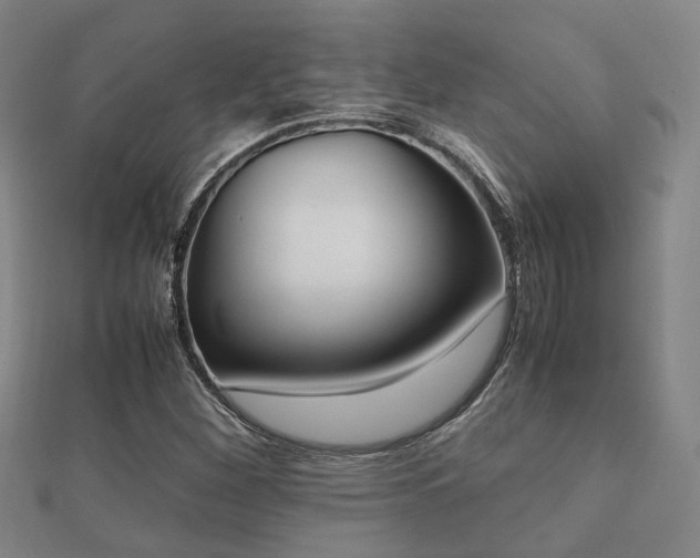 X0000112051260200908111342