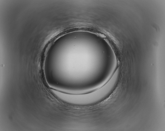 X0000112051261200908111342