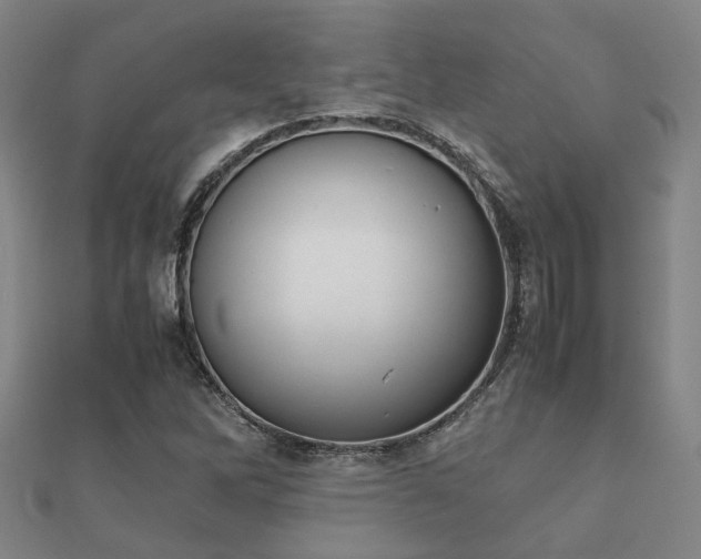 X0000112051262200908111342