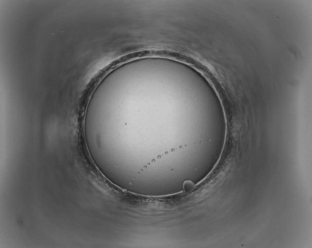 X0000112051263200908111342