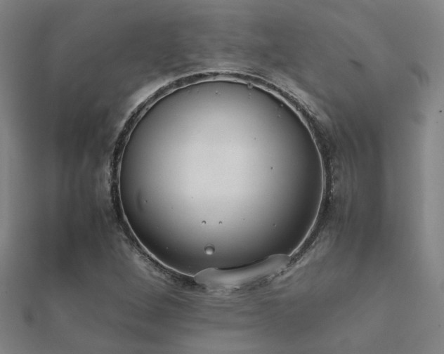 X0000112051264200908111342