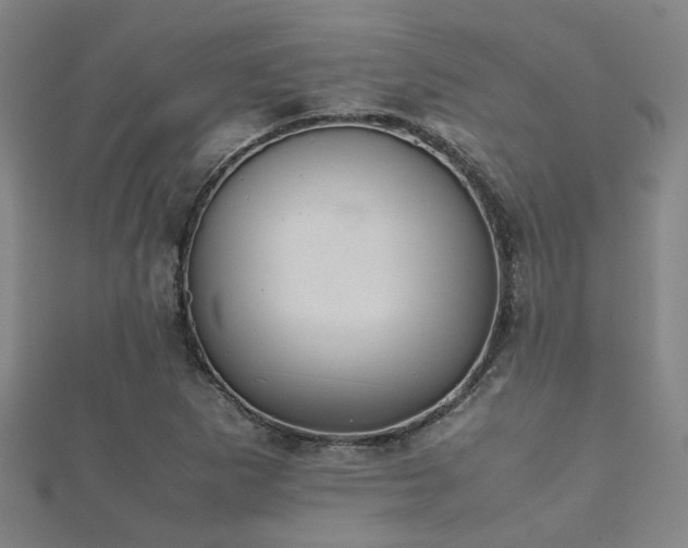 X0000112051265200908111342