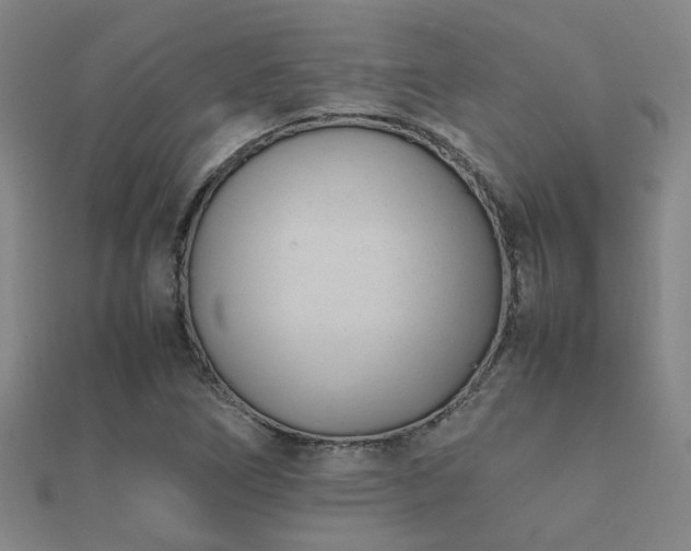 X0000112051266200908111342