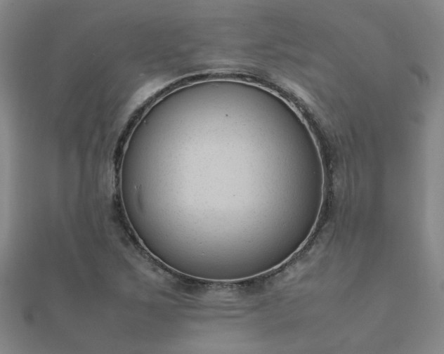 X0000112051267200908111342