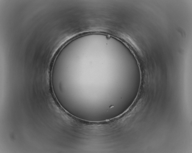 X0000112051268200908111342