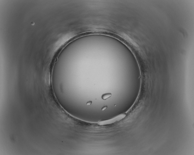 X0000112051269200908111342