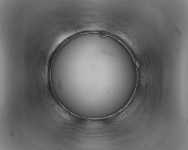 X0000112051270200908111342