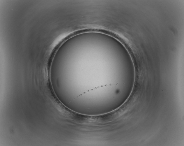 X0000112051271200908111342