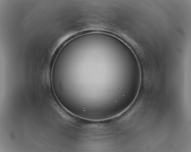 X0000112051272200908111342