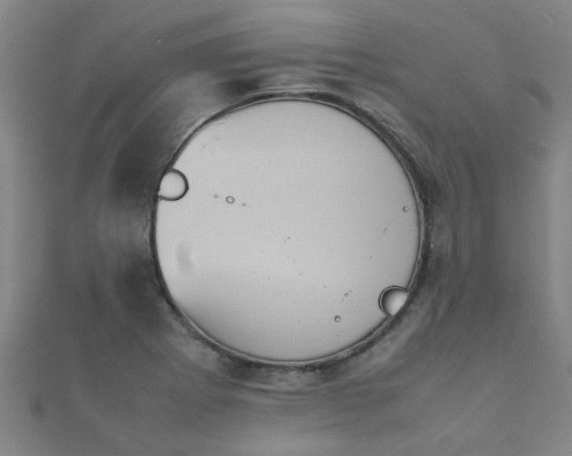 X0000112051273200908111342