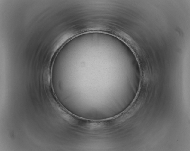 X0000112051274200908111342