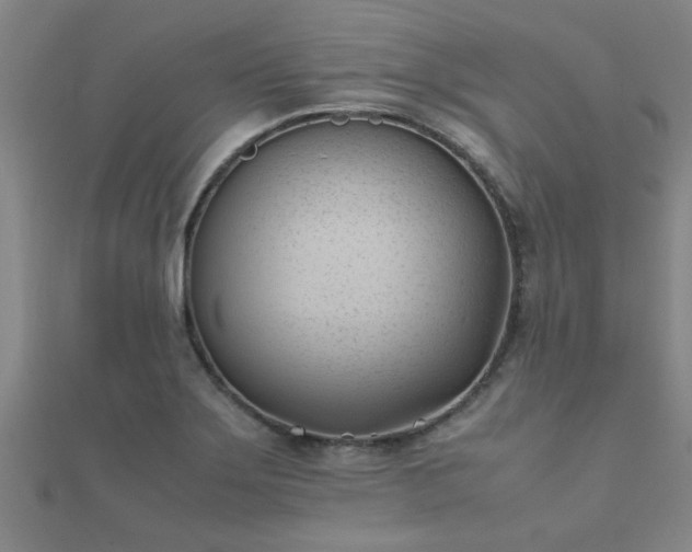 X0000112051275200908111342