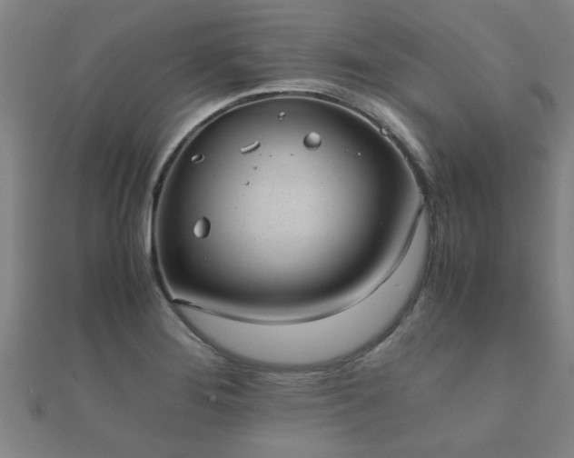 X0000112051276200908111342