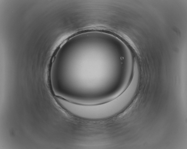 X0000112051277200908111342