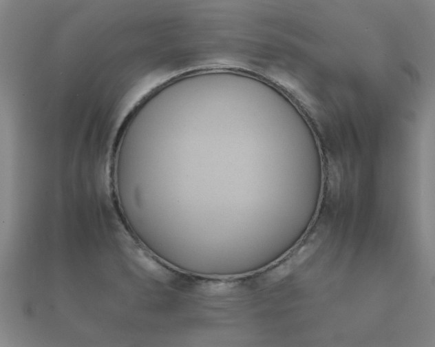 X0000112051278200908111342