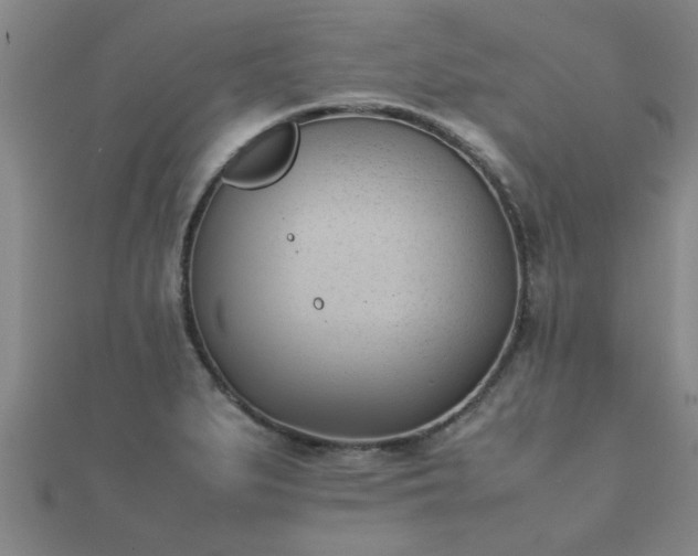 X0000112051279200908111342