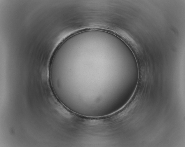 X0000112051280200908111342