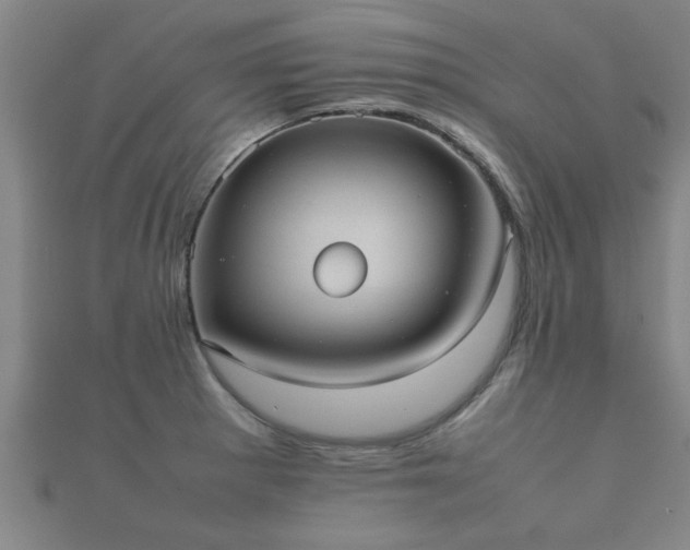 X0000112051281200908111342