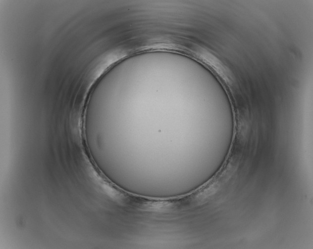 X0000112051282200908111342