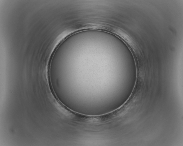 X0000112051283200908111342