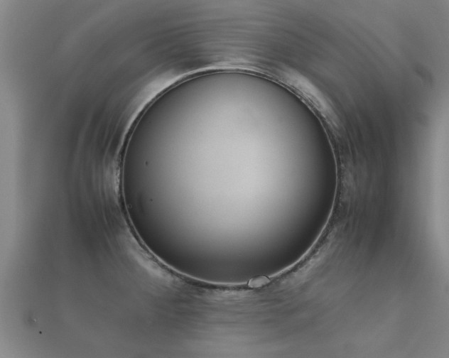 X0000112051284200908111342