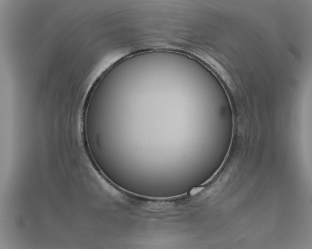 X0000112051285200908111342