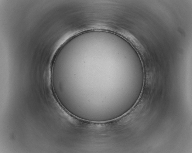 X0000112051286200908111342