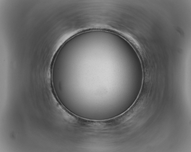 X0000112051287200908111342