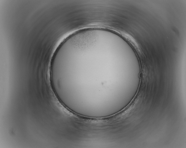 X0000112051288200908111342