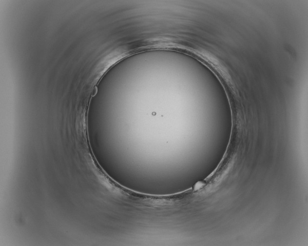 X0000112051289200908111342