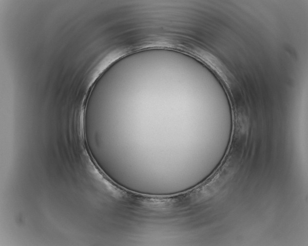 X0000112051290200908111341