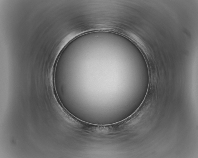 X0000112051291200908111341