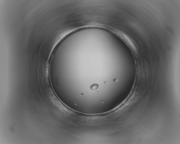 X0000112051292200908111341