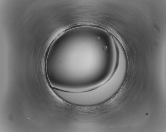 X0000112051293200908111341