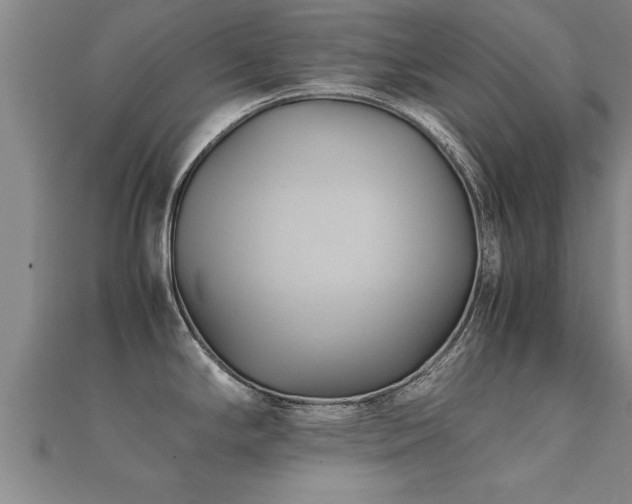 X0000112051294200908111341