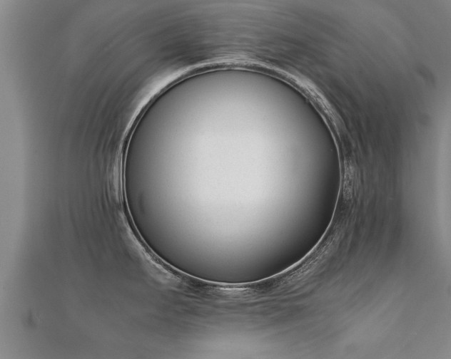 X0000112051295200908111341