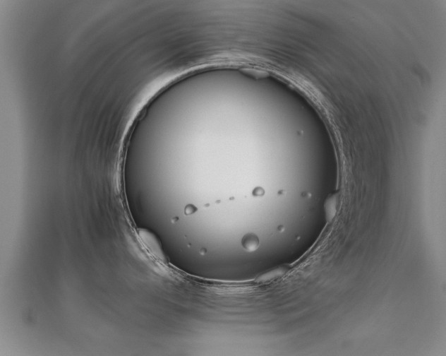 X0000112051296200908111341