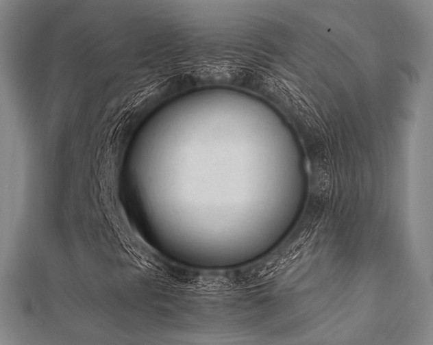 X0000112051297200908111341