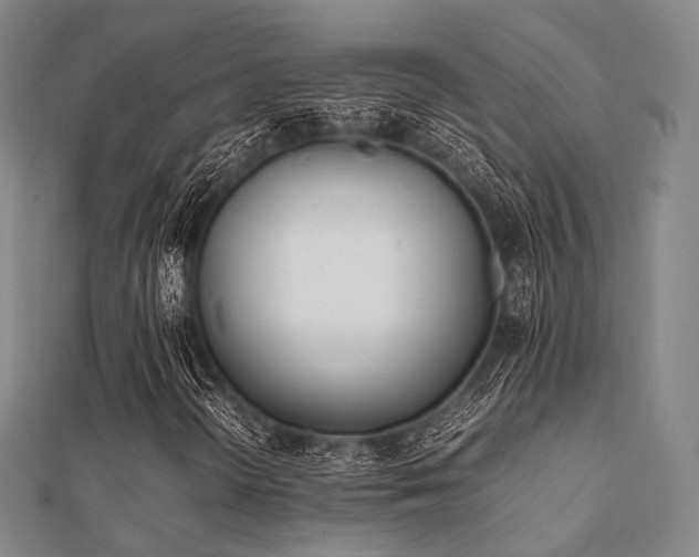 X0000112051298200908111341