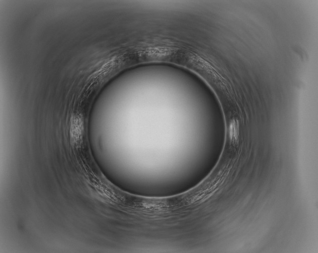 X0000112051299200908111341