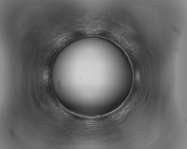 X0000112051300200908111341