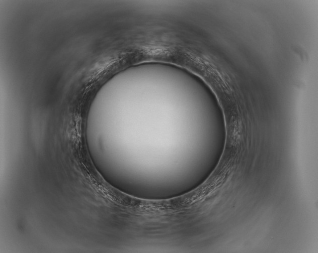 X0000112051301200908111341