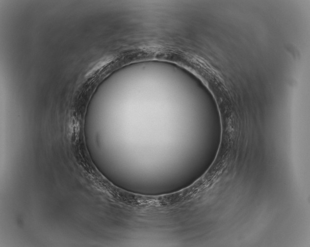 X0000112051302200908111341