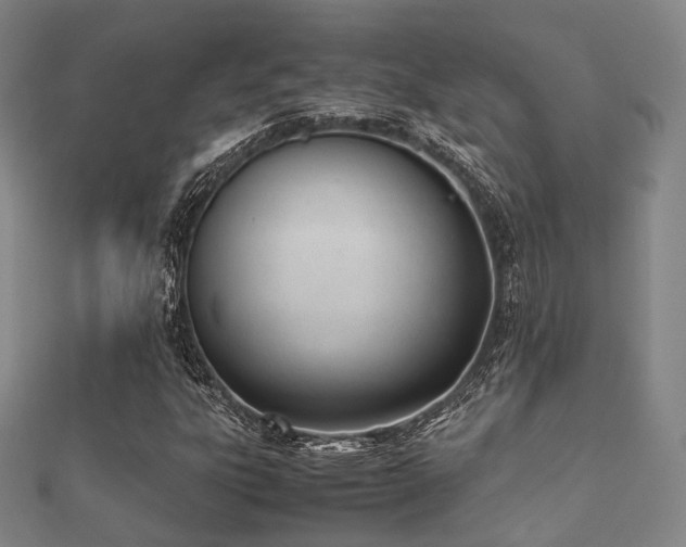 X0000112051303200908111341