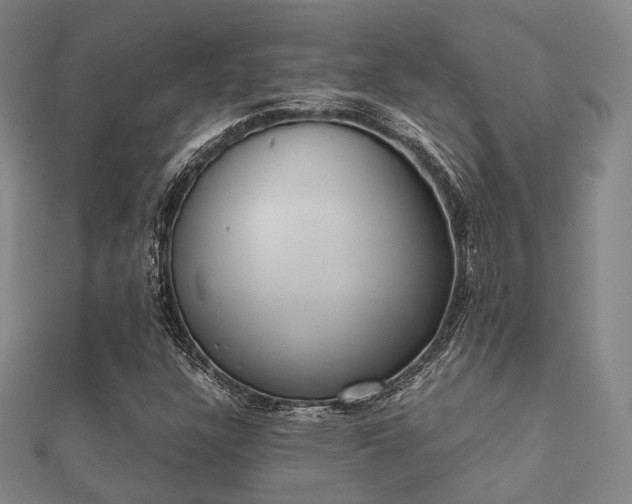 X0000112051304200908111341